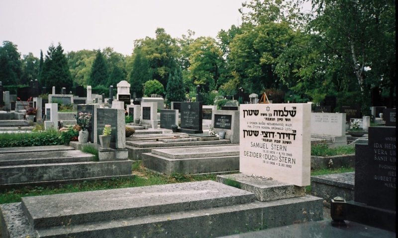 אילוסטרציה 