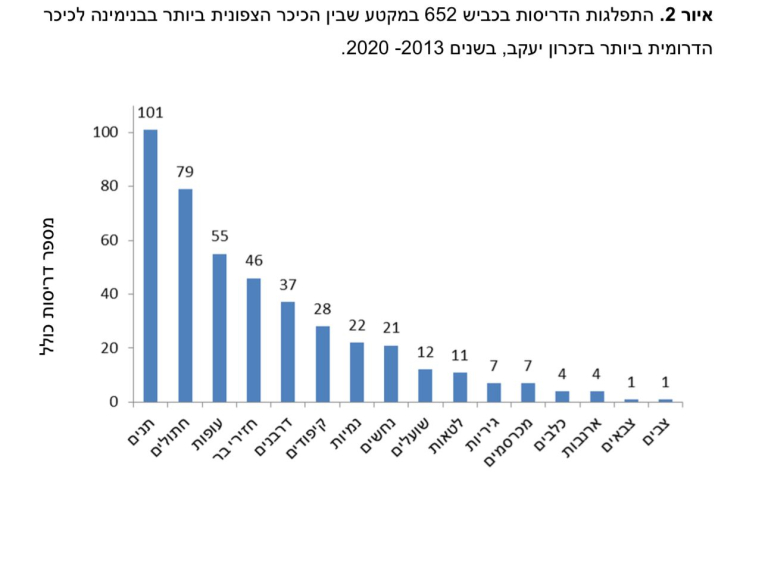 רט"ג