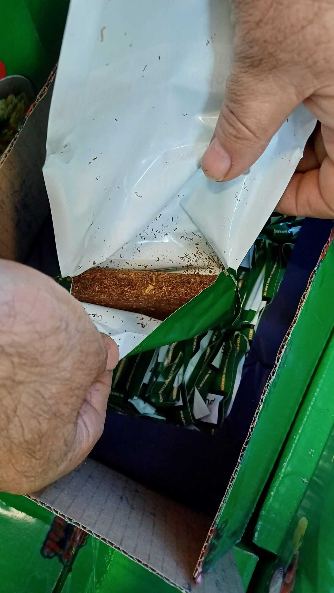 רשות המסים
