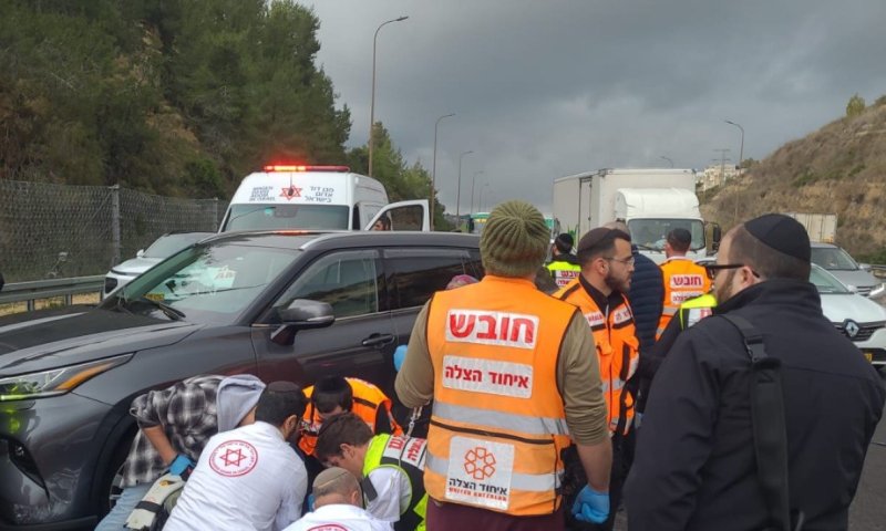 נהג שהבריח שב"חים נמלט משוטרים - ונהרג מרכבים חולפים