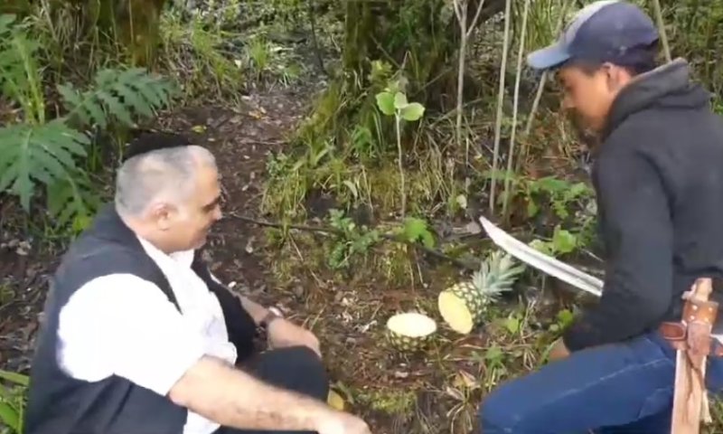 כרמלי מזכיר: "זו הברכה שמברכים על האננס"