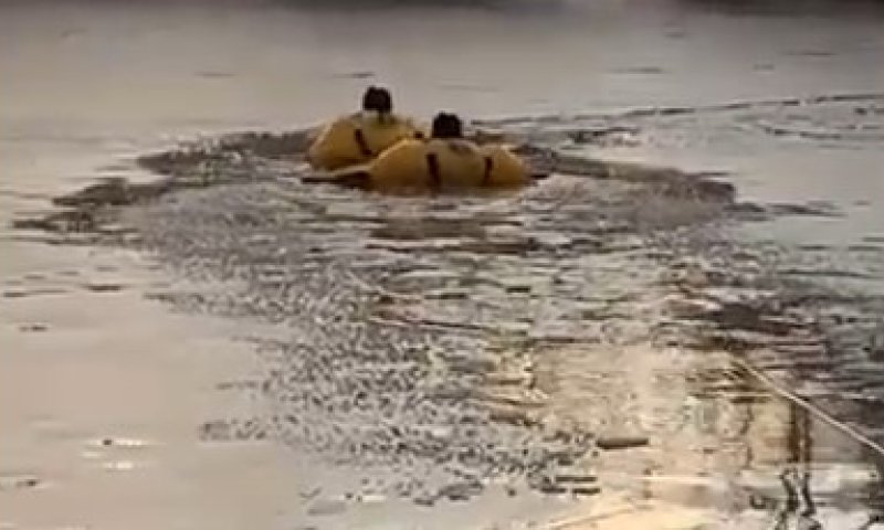 ארה"ב: צוותי הצלה חילצו כלב בתוך אגם קפוא