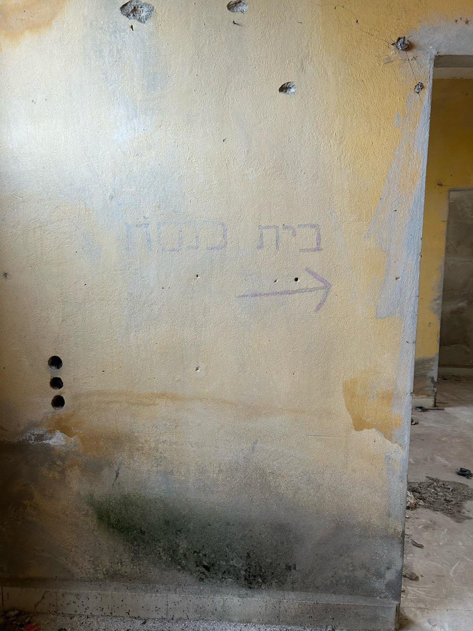 עמית סגל