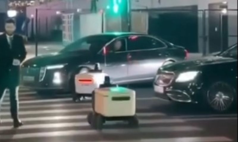 תיעוד משעשע: רובוטים "מחנכים" נהג שחנה במעבר חציה