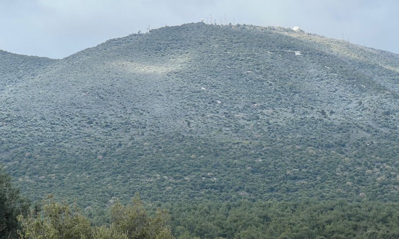 סופת 'קורל' צובעת את ישראל בלבן: שלג בהרים, רכב החליק במירון