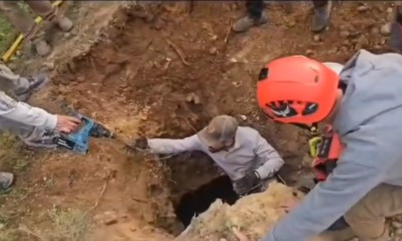 מבצע חילוץ מורכב: סוס נפל לבור וחולץ 