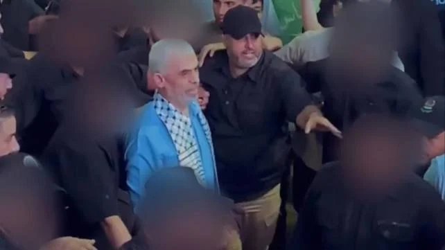 רשתות ערביות