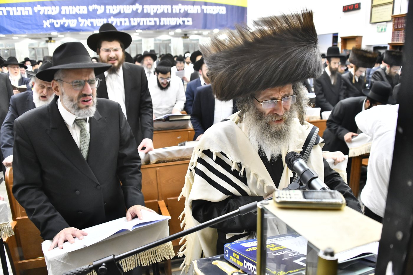 רינה של תורה