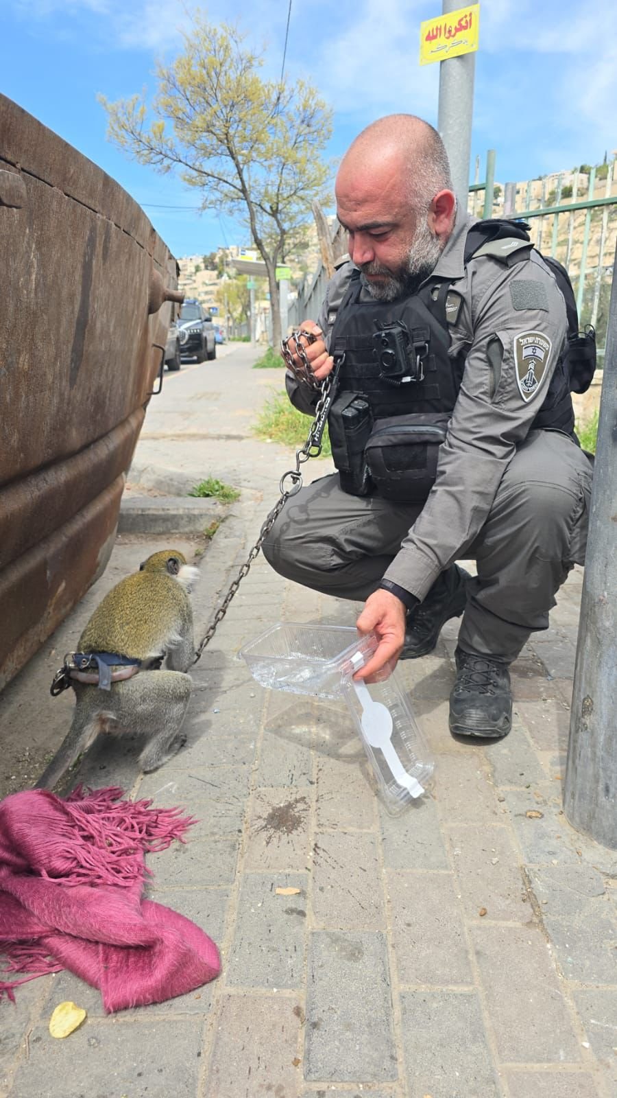 דוברות המשטרה