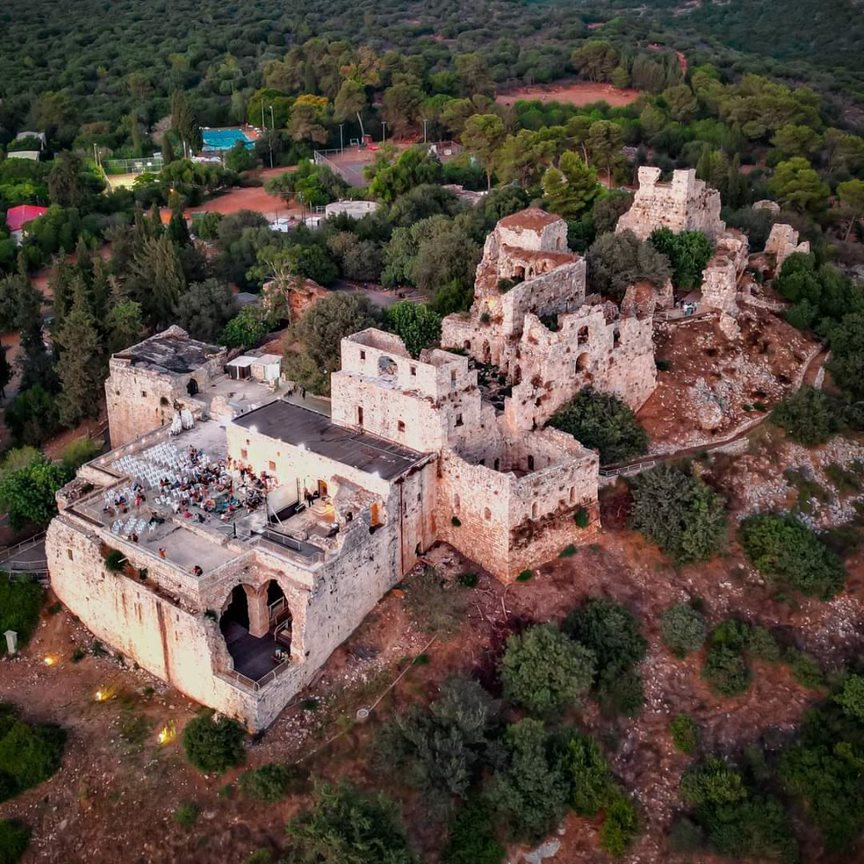 יואב פלמה