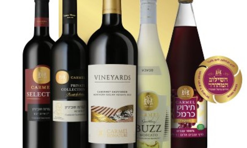 מגוון יינות ותירוש כרמל לארבע כוסות ועונג יו"ט לכתחילה