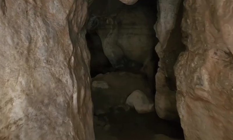 כרמלי בעין נמר כרמלי בעין נמר