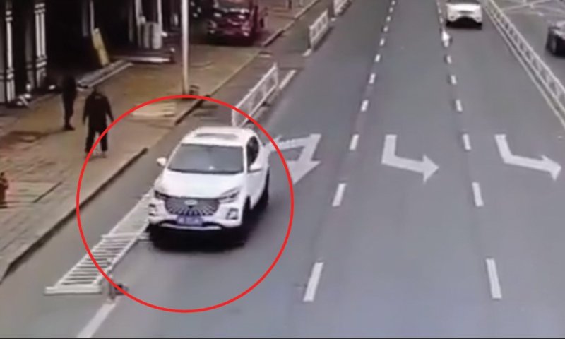 אירוע חריג: הכלב נהג ברכב והעיף מחסומים
