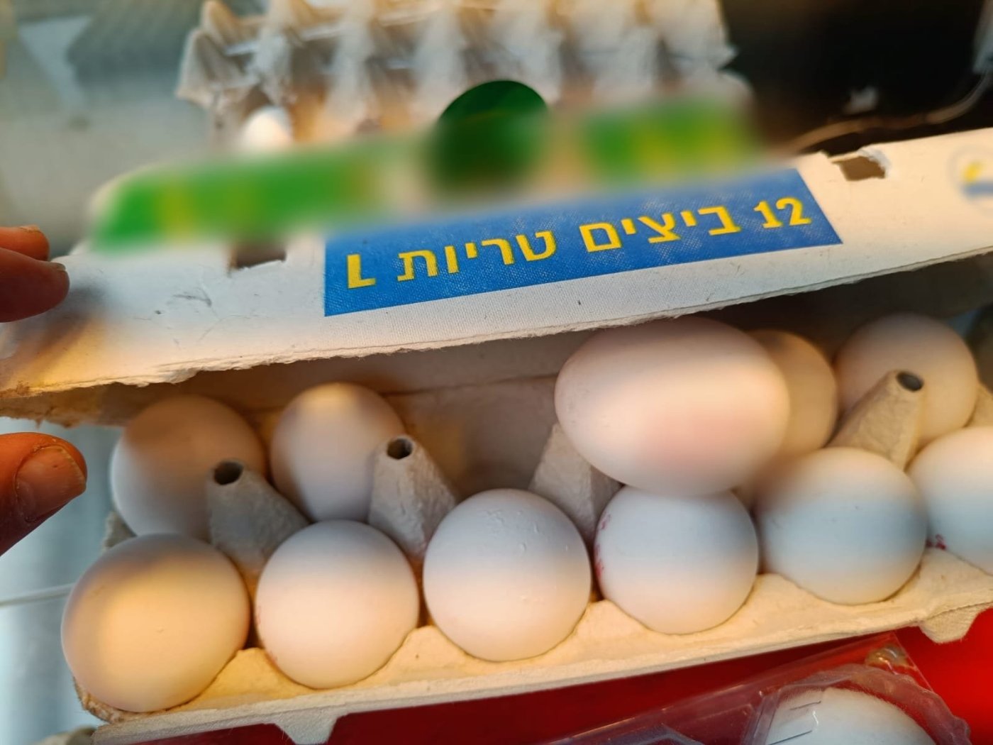 דוברות המשטרה
