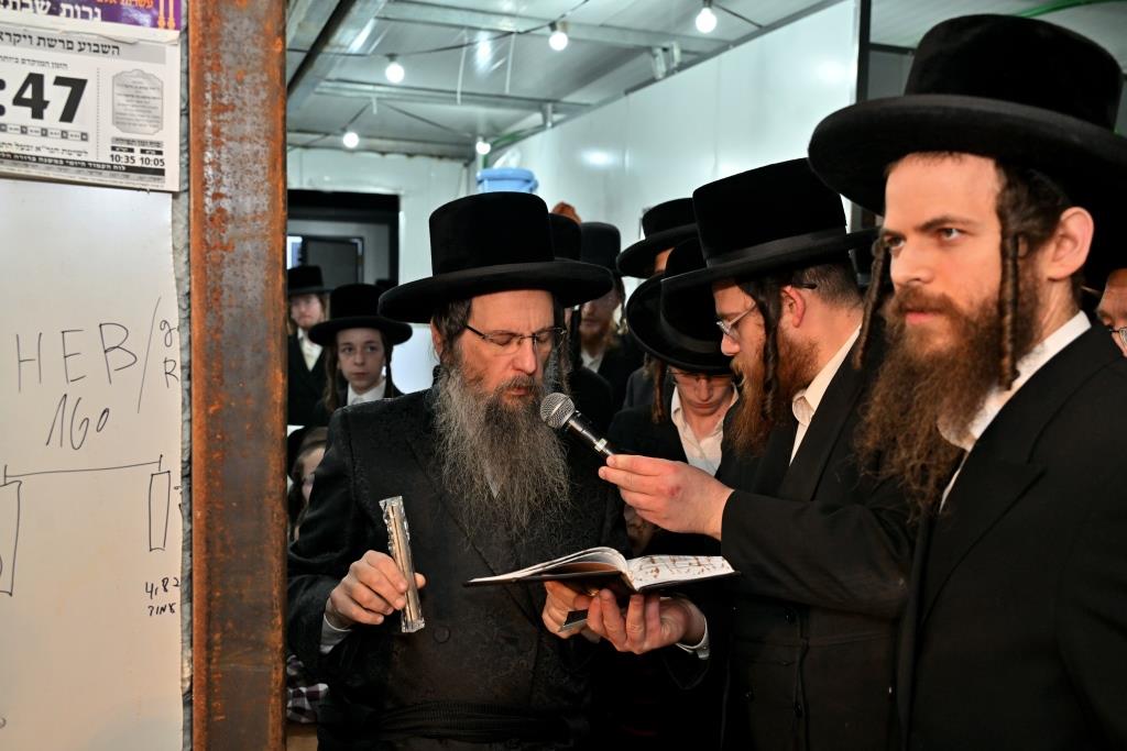 יהושע פרוכטר