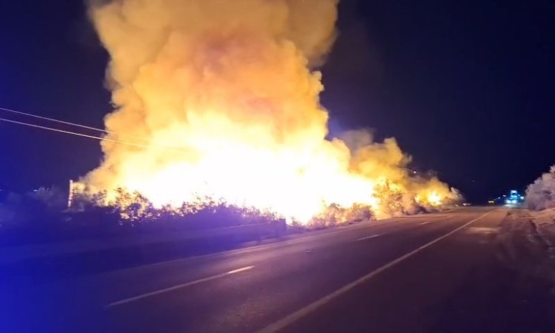 כ-30 דונם עלו באש בשמורת הטבע; חשד לקצר חשמלי