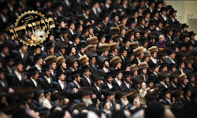 כבני מלכים: כך מתנהגים נכדי האדמו"רים בישיבות החסידיות