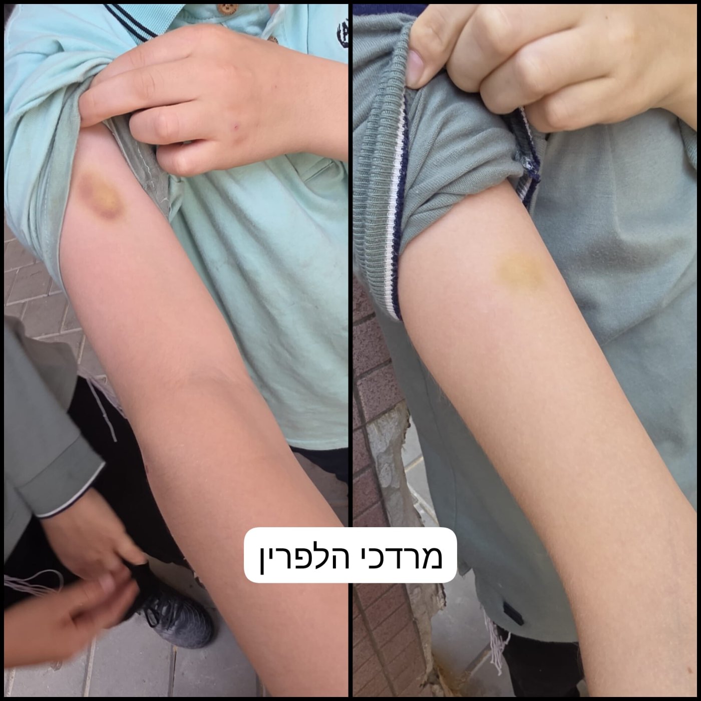דוד קשת, מרדכי הלפרין