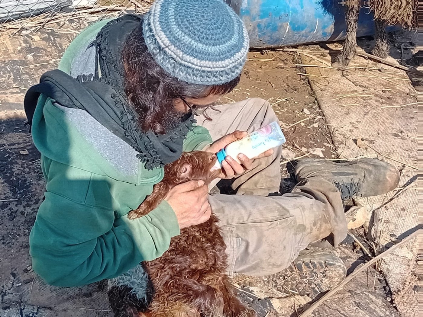 ללא קרדיט