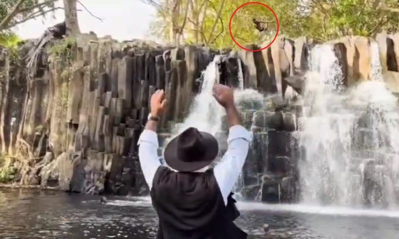 דולר אחד לקוקוס - מופע אקסטרים בחינם: כרמלי בהרפתקה בלתי נשכחת