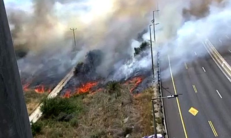 תיעוד: כך נראית שריפת הענק במצלמות נתיבי ישראל