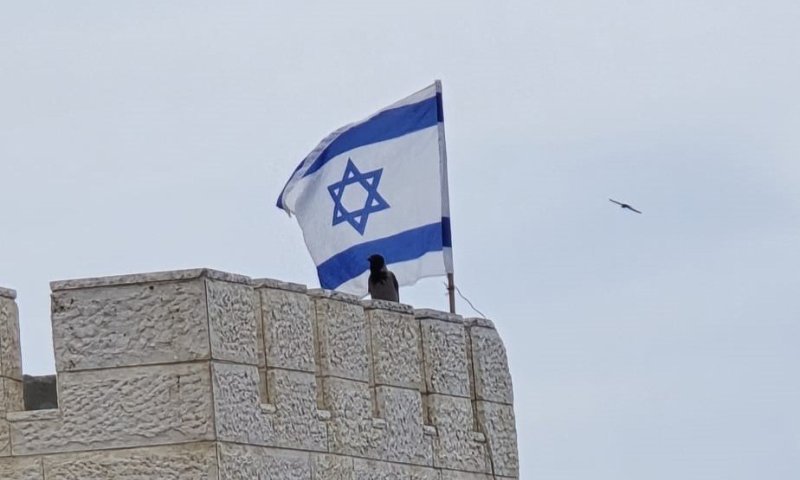 תעלומה: מה פשר העורב המופיע מתחת לדגל בבני ברק ביום העצמאות?