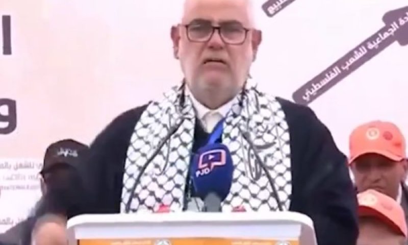 בכיר מרוקאי זעם על אלו שלא מתעניינים בפלסטינים: "מיקרובים, חמורים וכלבים"