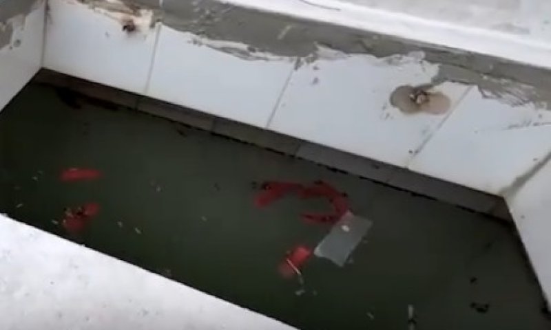 ליקויים חמורים: תיעוד מזעזע מהמקווה בשדרות