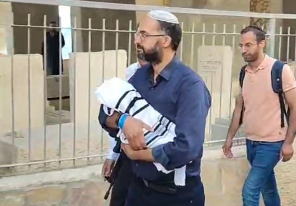 אלישיב הראל גל"צ
