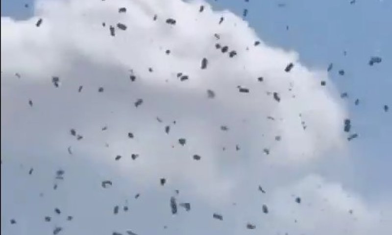 גשם של מזומנים בדטרויט: מאות דולרים נפלו מהשמיים על תושבי העיר &ndash; זו הסיבה