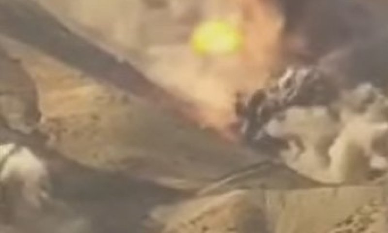 ערוץ סעודי מפרסם תיעוד מניסיון החיסול לכאורה של נשיא איראן