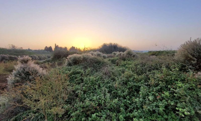 שמורת הטבע המרהיבה 'עין ארובות' נסגרת &ndash; זו הסיבה 