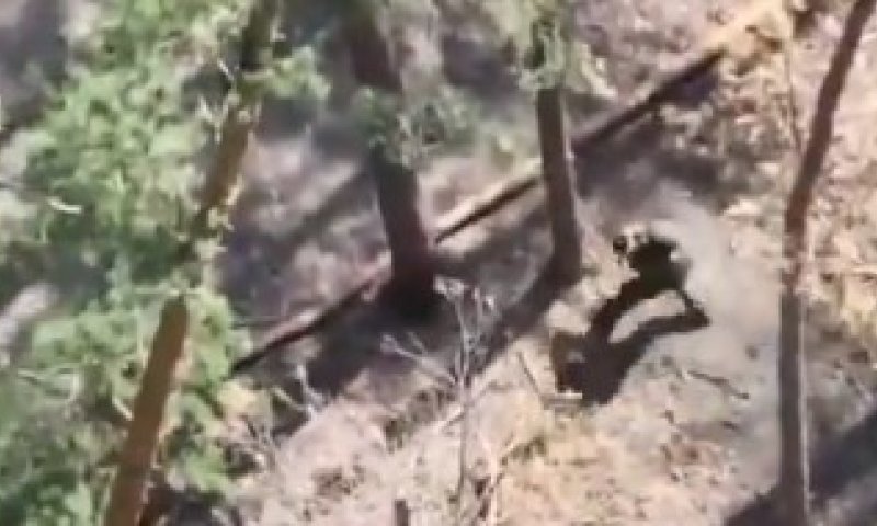 נמלט במהירות: חייל רוסי ניסה ללא הצלחה לרסק רחפן תקיפה אוקראיני 