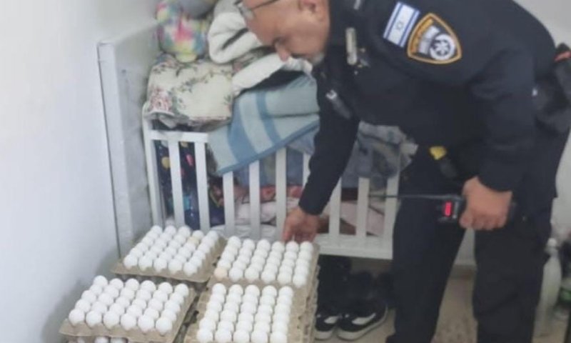 המשטרה פשטה על בית פרטי ומצאה אלפי ביצים מסוכנות לפני הפצה