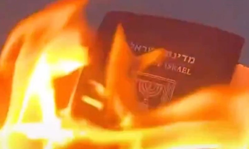לעיני המצלמות: נורווגית ממוצא ישראלי שרפה את דרכונה במחאה על המלחמה בעזה