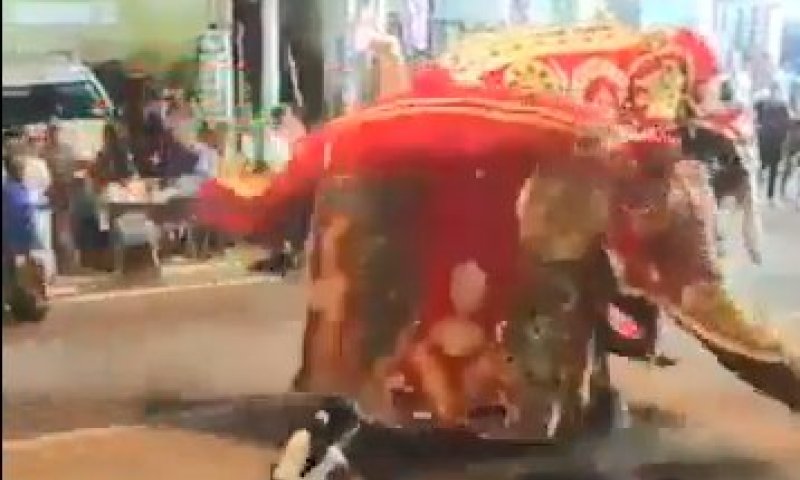 במהלך תהלוכה בסרי לנקה: פיל החל להשתולל ותקף אזרחים