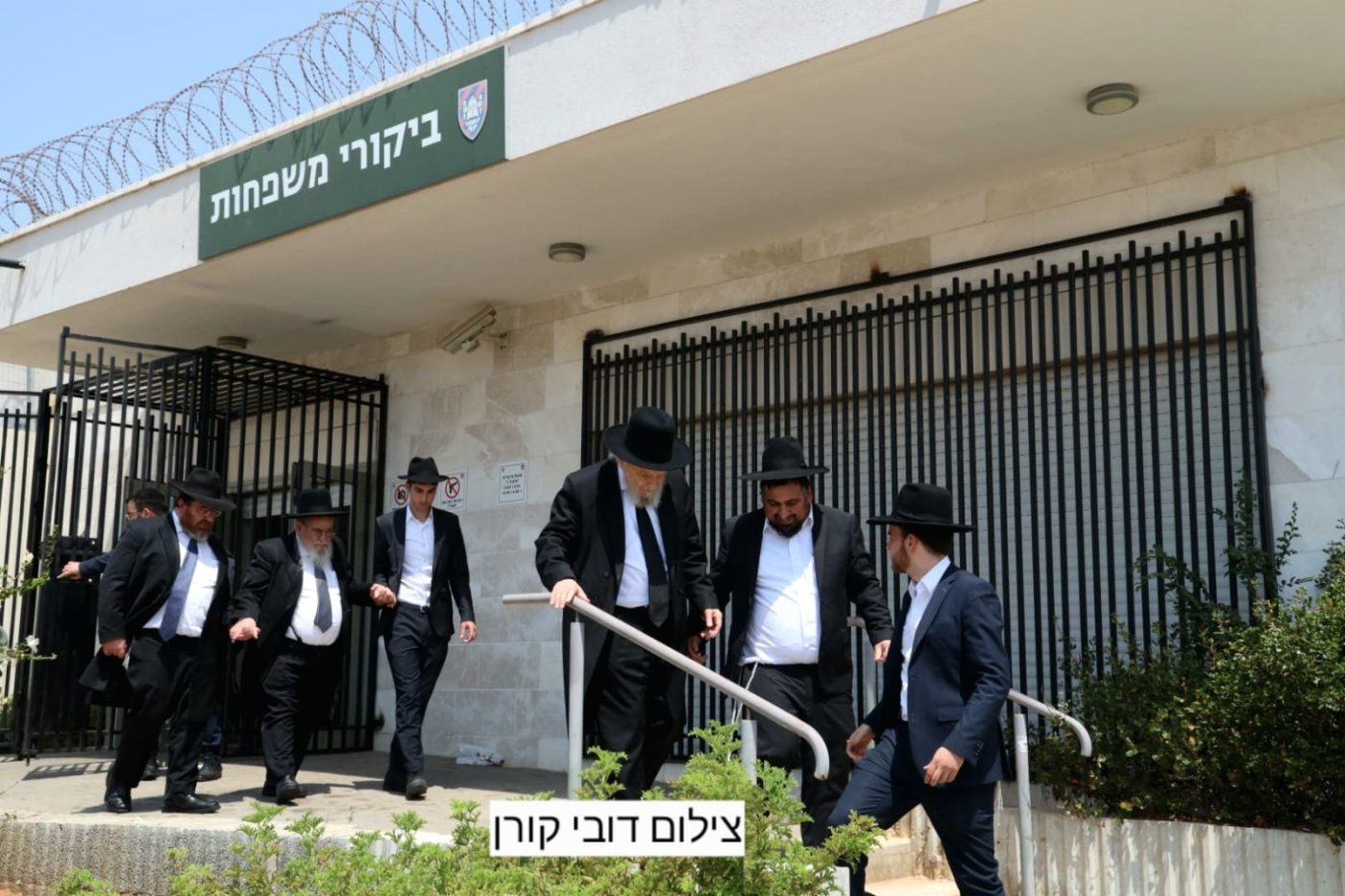 דובי קורן