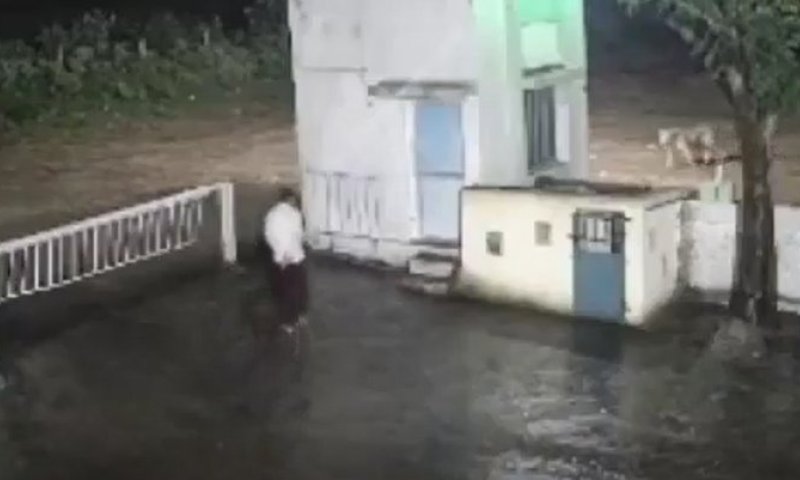 מפגש יוצא דופן בהודו: אדם הבחין באריה &ndash; מי חושש יותר?