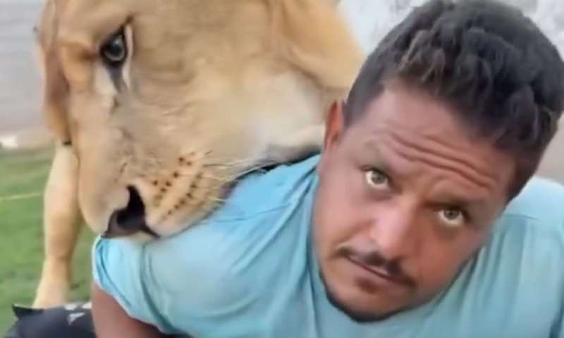רק בגלל שהמעסיק שלו רצה סרטון: פועל מצרי כמעט שילם בחייו