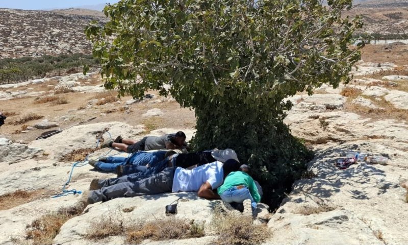 בזכות ערנות המטיילים: זוג צבאים חולצו לאחר שנפלו לבור 