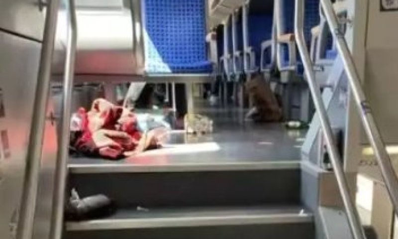 ברכבת בגרמניה: השתולל בקרון, הרס ציוד וצעק שגר בתל אביב