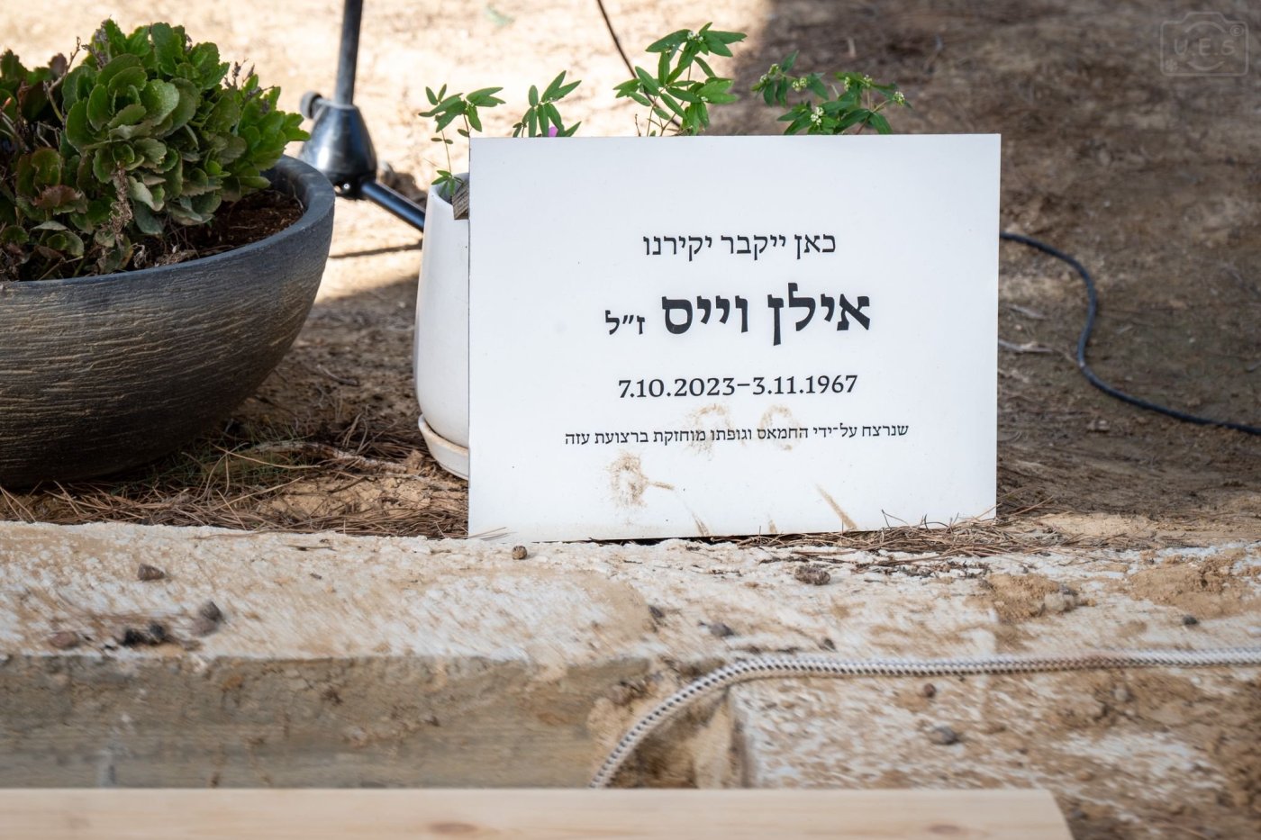 אוריאל אבן ספיר