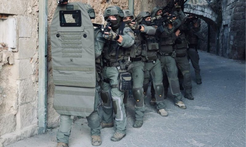 נעצרה חולייה של מחבלי דאעש בחשד שתכננה לבצע פיגוע