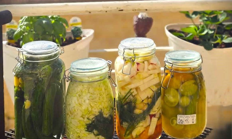 תפסיקו לקנות: מתכון ביתי פשוט ונהדר להכנת חמוצים מכל הסוגים