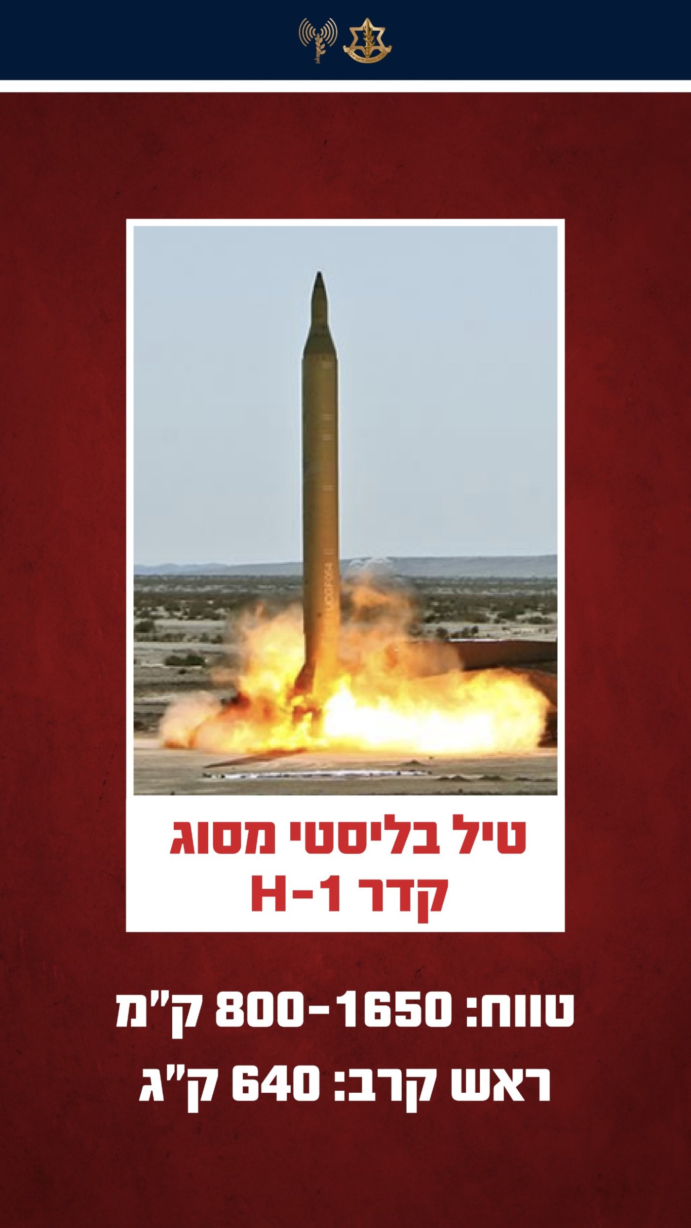 דובר צה"ל