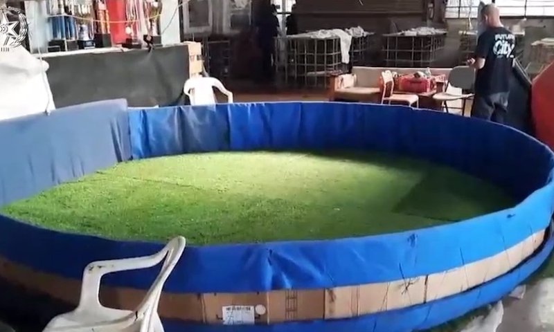 המשטרה חשפה: זירת 'קרבות תרנגולים' במתחם המבודד