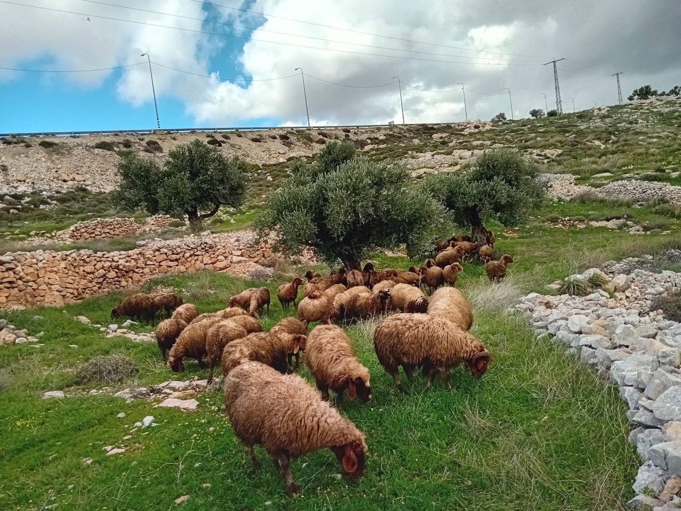 ללא קרדיט 