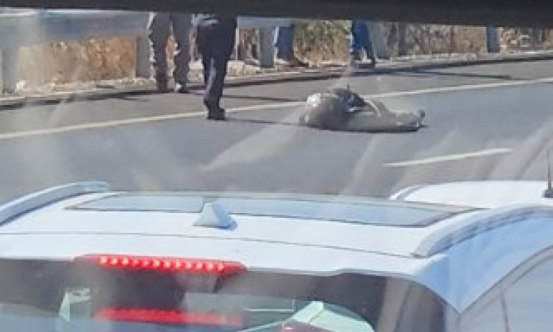 התחזו לשוטרים, רדפו ופתחו באש: חקירת הרצח בכביש 443