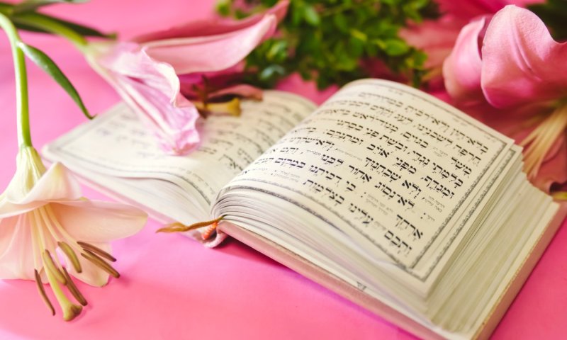 אם הלוחם שנפל בקרב הפכה את השיחה האחרונה לשיר ואת השכול למיזם תהילים