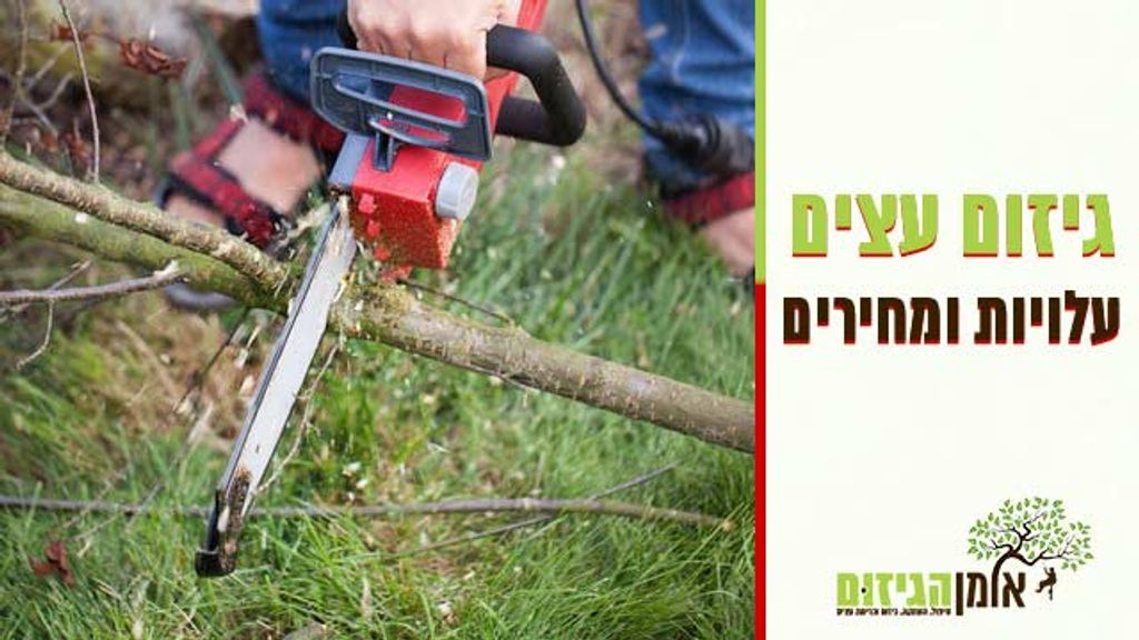 אומן הגיזום
